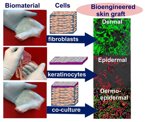 synthetic skin for wound healing